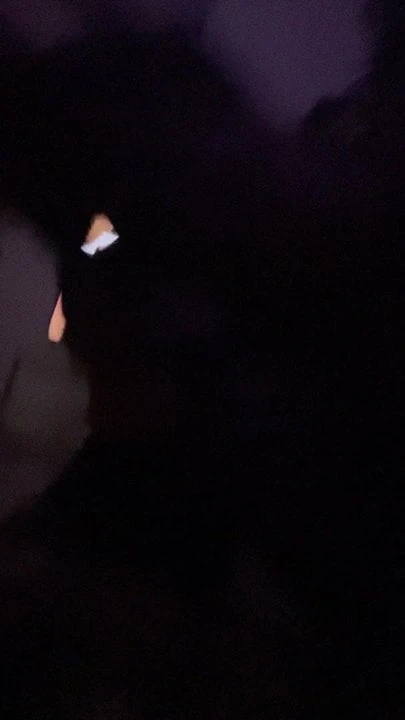 Snuck and fuck homie we snuck thru window