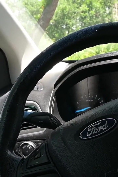 BTS:n luontokävely ja masturbaatio polulla