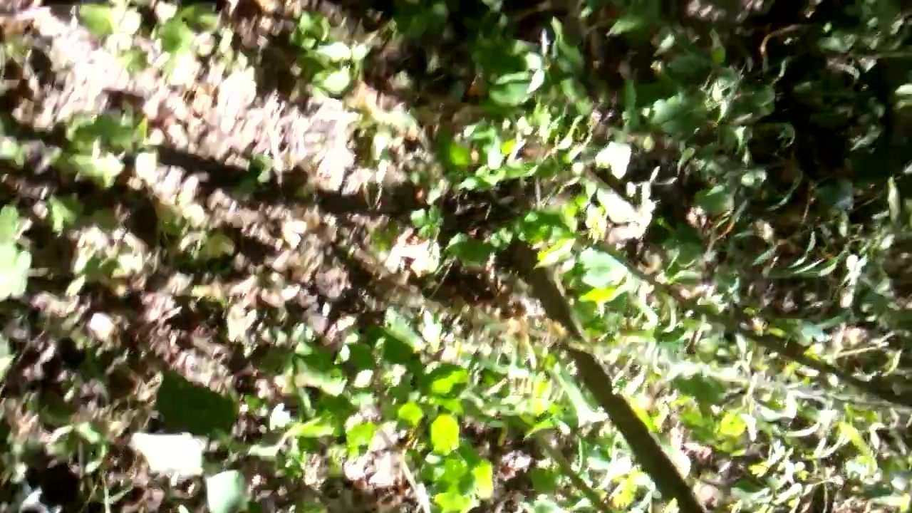 my pussy outdoor