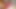 قذف الأسود الكبير على نمش غنيمة كبيرة