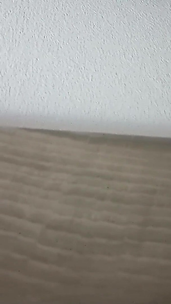 Seksualni zvukovi me bude rano ujutro! Stvarno se uzbudim i na kraju ubacim ogroman gusti teret sperme u jastuk! | Isječak 1