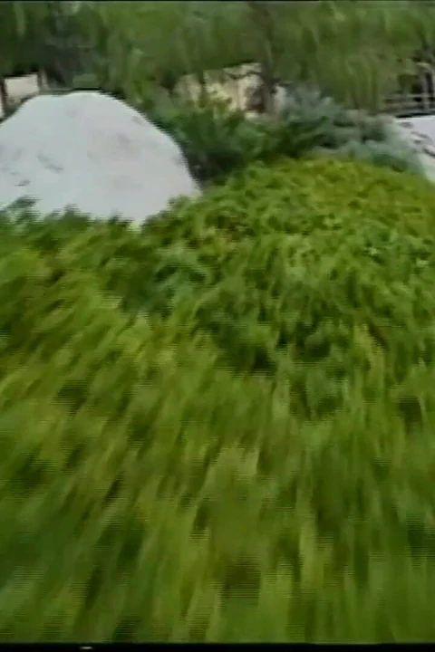 重口味性爱后被精液覆盖的奶子