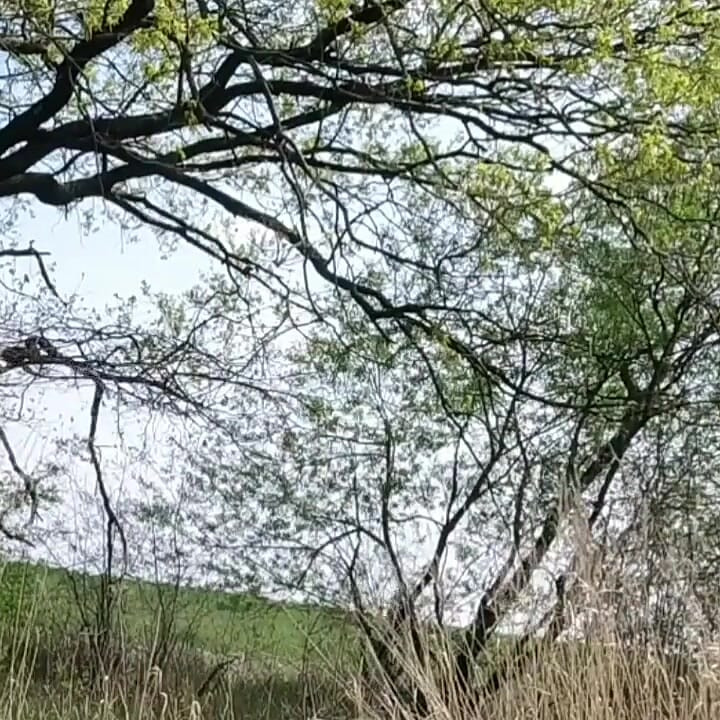 Me Being Risky and Naked Outside
