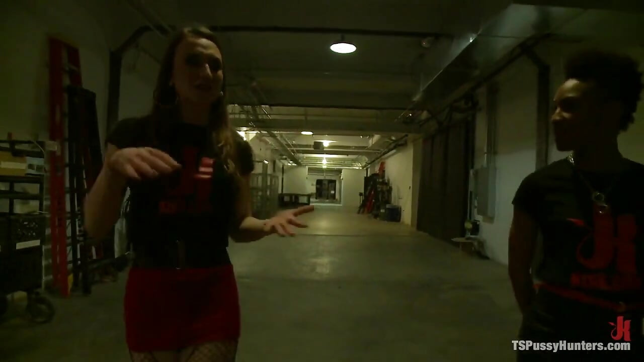 Kink Studios - guia turístico pornô