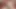 Hot Cock! Wroship! You must Lick my Balls and Eat my Cum!