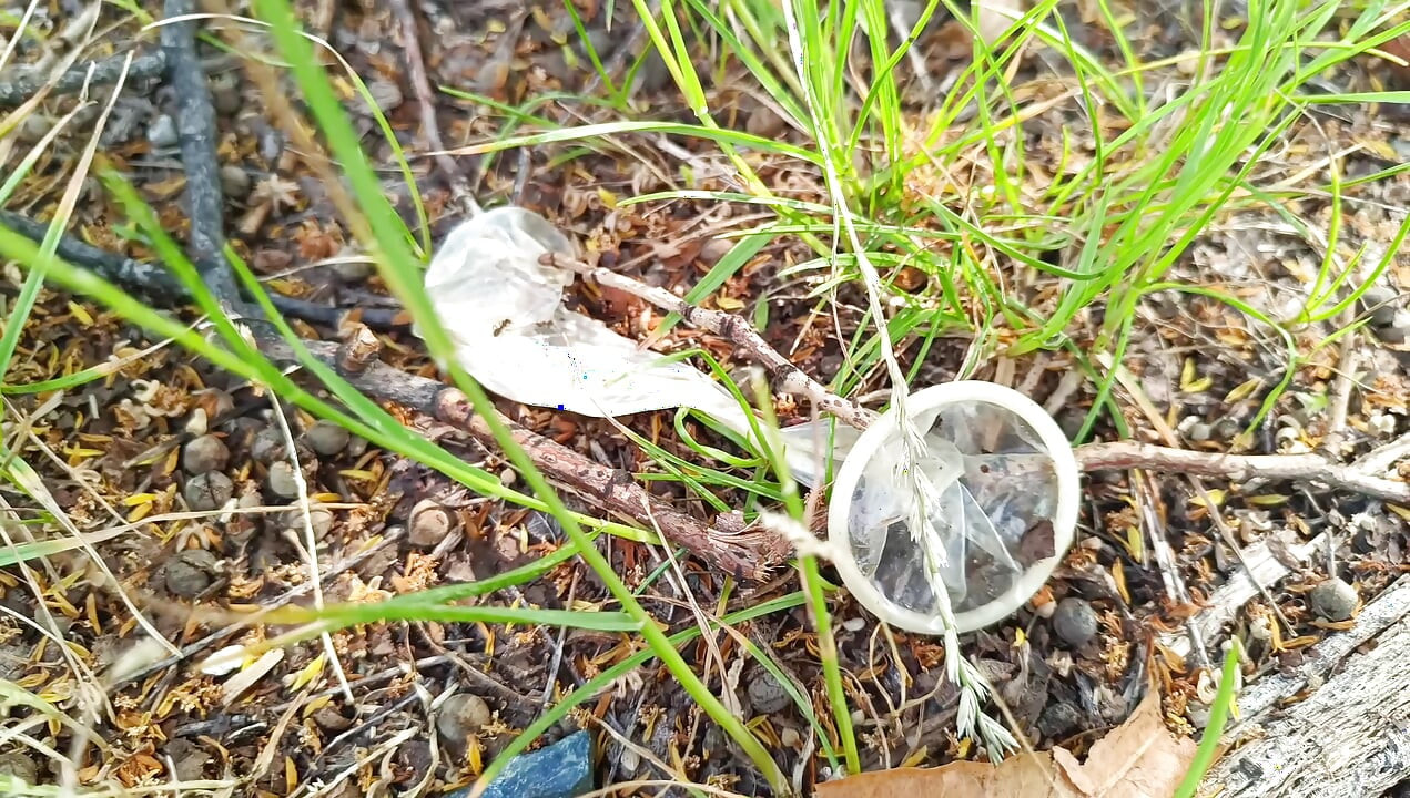 Used Condom #4