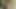 Veronica creampied at audition