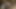 Dick Addiction And Heavy Cum