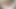 大学時代の小柄な女の子を追いかけてる