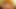 colthed arab egyptian gf sucking cock