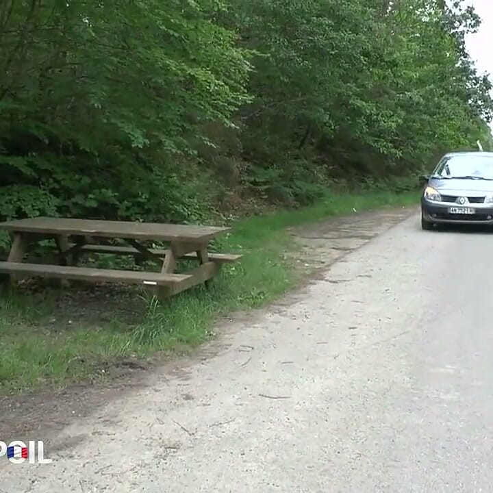Big boos Milf anal fucked on the road by the mechanic