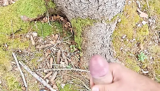 Ağaç bundan etkilenir