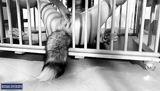 Kamu benar-benar PET kecil yang baik untukku