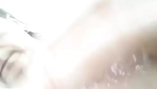 Amcık