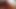 The Best Masturbation of Papi Toms Food Porn Semen with Donuts