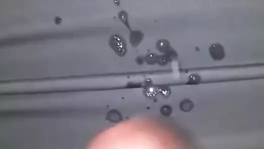 Döl spermi