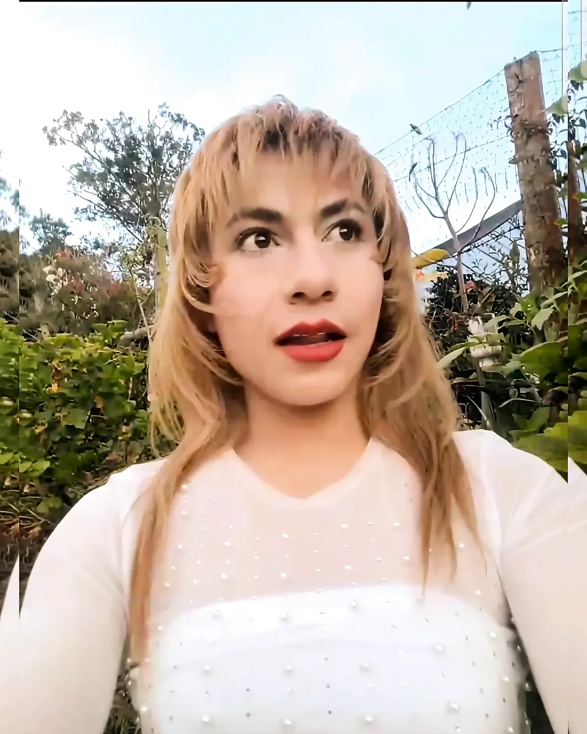 Live Show November 11