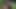 Video ön izlemesi
