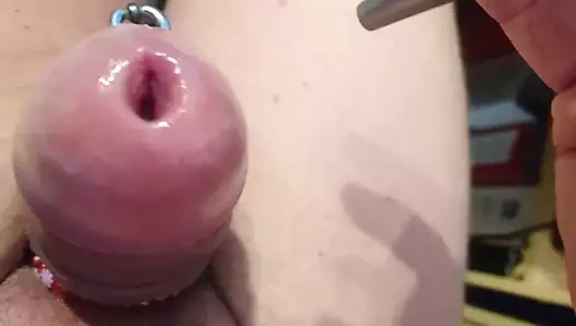 Dilatator