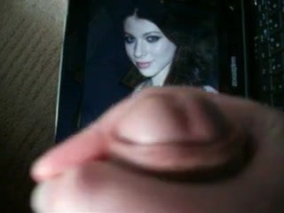 tribute to michelle trachtenberg