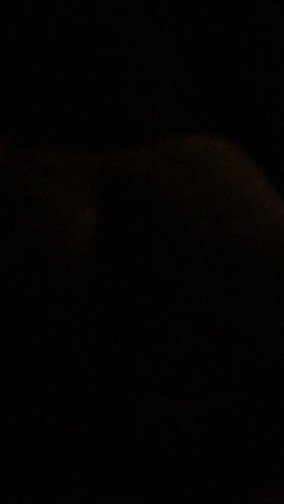 Doggy in dark room