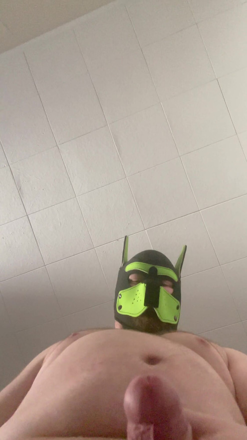 Chubby Pup sits on your face (POV)