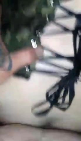 Le chien est parti en levrette