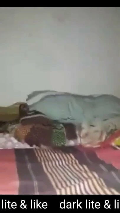 lucu desi sisiter boob &amp; jembut tebal toket besar pukas menampilkan