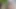 Islak ve vahşi dildo eğlencesi masaj göğüsleri yağ göt fetişi, sıska amcık dildo cam
