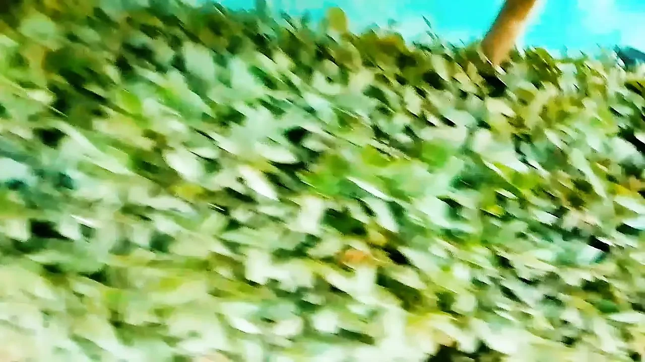 Dans une bonne ambiance à la maison