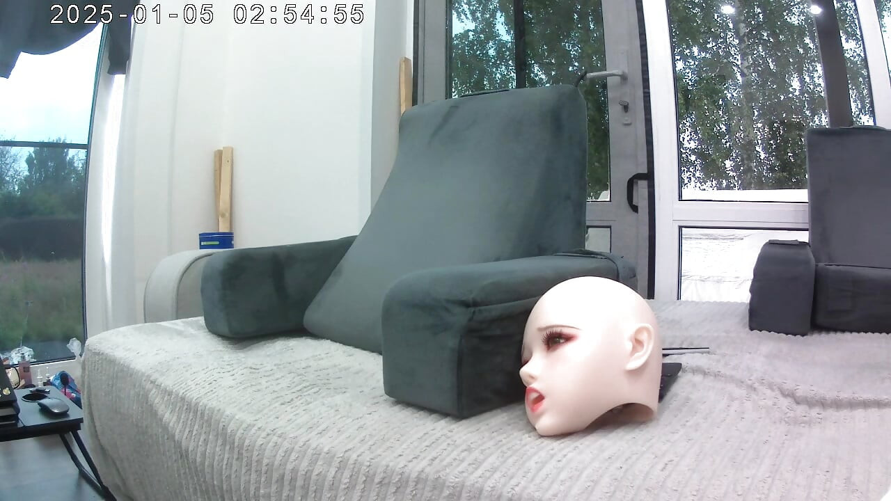 I Never Planned for Anyone to See My Sex Doll