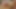 Sevimli genç Tayland genç yapar ona çok ilk porno video