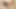 A Sweet Taste - S2e12