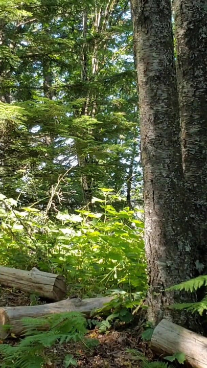 Lady In Red Nerdy Piss Adventures | Clip 1