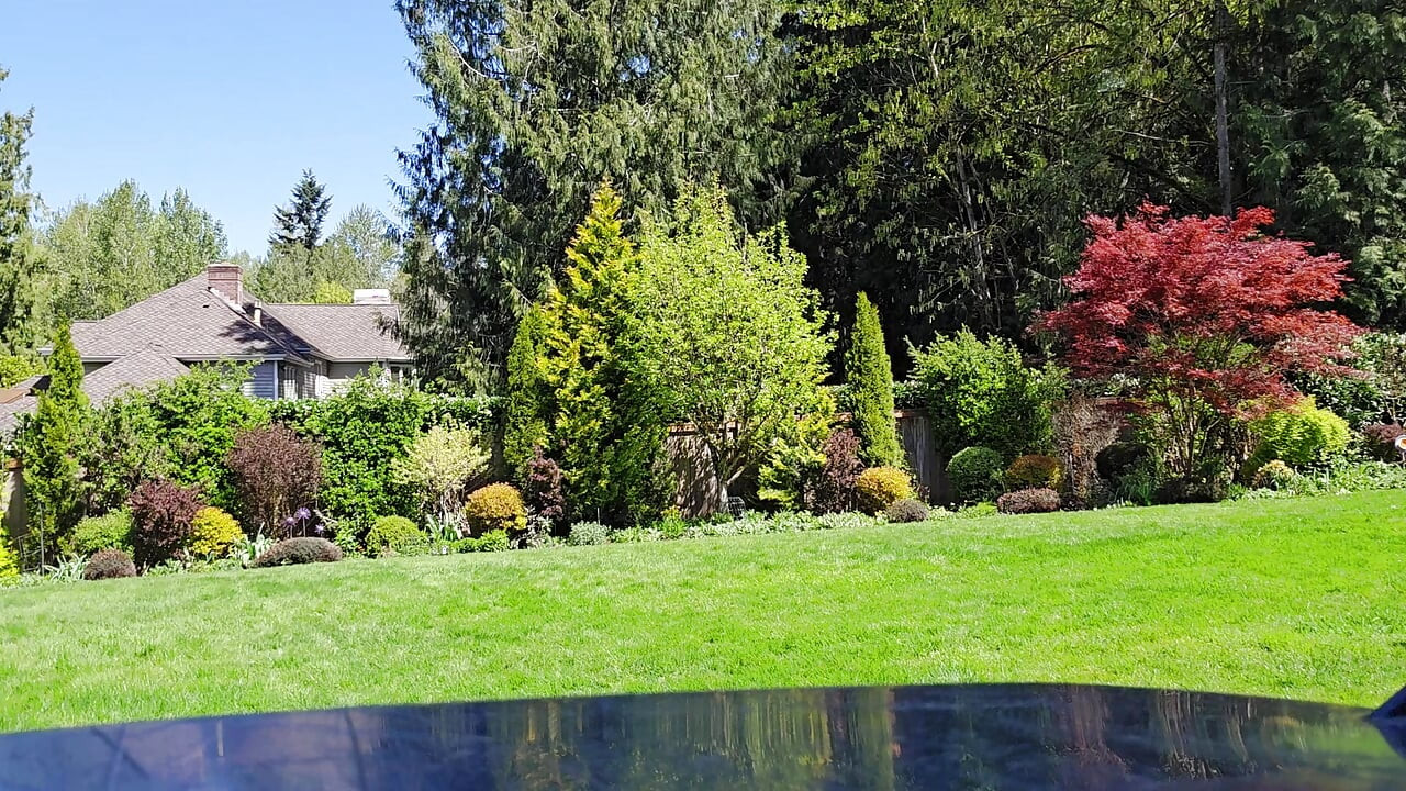 Lawn Service