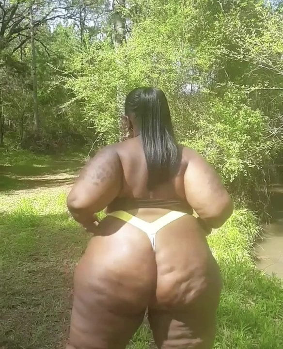 Well Fed