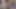 The hot trans asked for a lot of spit, sucked my cock like a popsicle and took a firm cock