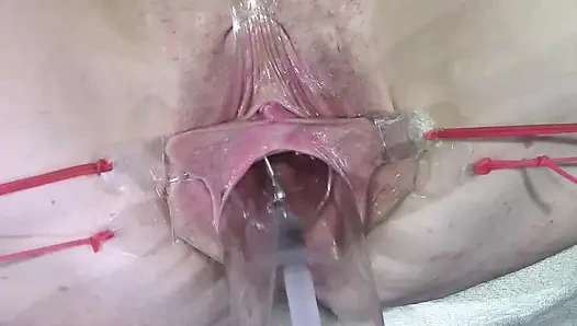 11 широко распространённых киски крупным планом, секс с лампой 1000 ватт