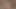 Bir Creampie ile biten skylar yeşil ile bir pov randevu