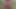 Black Man Jerking Off Outside On A Hike Until Shooting A Moaning Cumshot