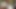 Big Hoody Cummies Teaser
