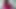 Pink Latex Piggy Trans Slut Throats Dildos