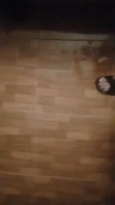 Nice Cumshot !
