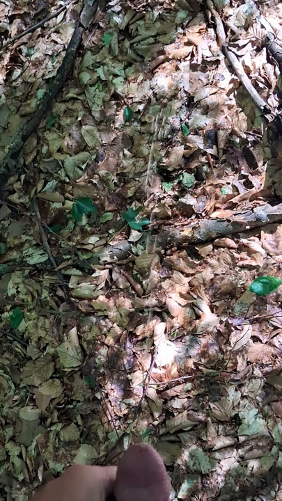 Kencing terangsang di hutan