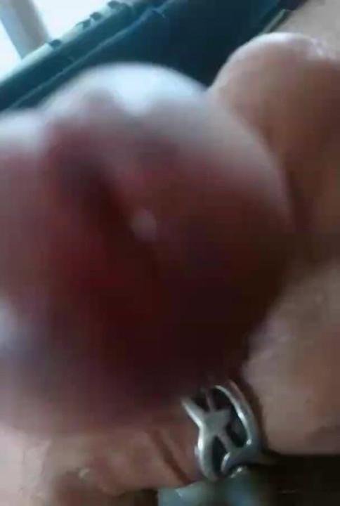 An obligatory spitting of my cock lasts !!! For you ladies!!?