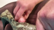 Pregled videozapisa