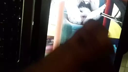 Tributo a Lulu, una zorrita muy hambrienta