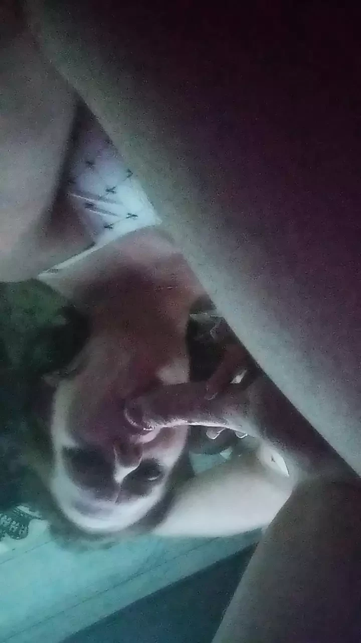 Sexy Blowjob From Girl Friend