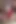 18 yaşındaki Sandy porno oyuncu seçmeleri sırasında seks oyuncağıyla oynuyor
