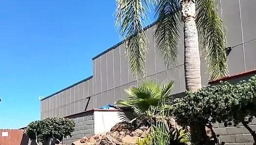 Akış Bronzlaşıyor